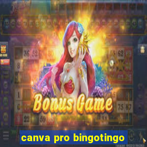 canva pro bingotingo